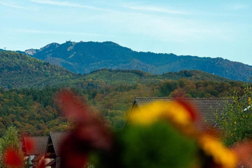 N & G Apartments Rîşnov Buitenkant foto